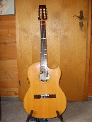 Aria Electric Nylon
